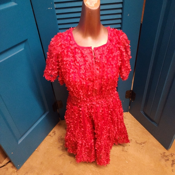 Anthropologie The Somerset Mini Dress Floral Appliqué Edition in Pink Medium - Picture 6 of 10